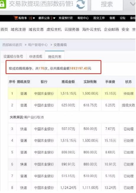 馬男波杰克 流媒體黃金時(shí)代的縮影與終結(jié)，及域名服務(wù)的隱喻